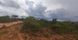Maravilhosa Chácara 20ha – Recifra – Alto Paraíso de Goiás