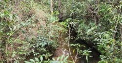 Chácara 5,30ha – Rio – Morro da Baleia – 13 km de Alto Paraíso de Goiás sentido São Jorge