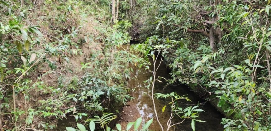 Chácara 5,30ha – Rio – Morro da Baleia – 13 km de Alto Paraíso de Goiás sentido São Jorge