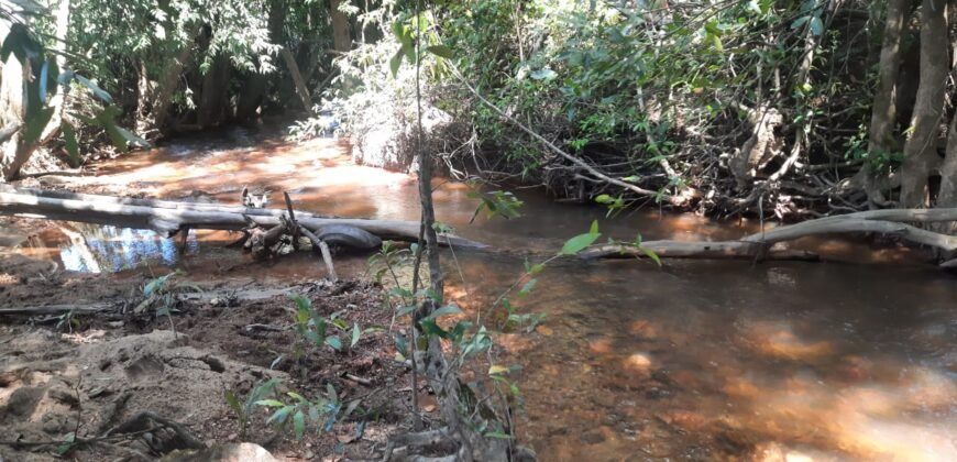Chácara 2.7 Alq. – Povoado Bandeira – Rio – Nascente – 24km de Alto Paraíso de Goiás