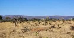 Chácara 4ha – Poço artesiano – 5km de Alto Paraíso sentido Cachoeira dos Cristais – Chapada dos Veadeiros