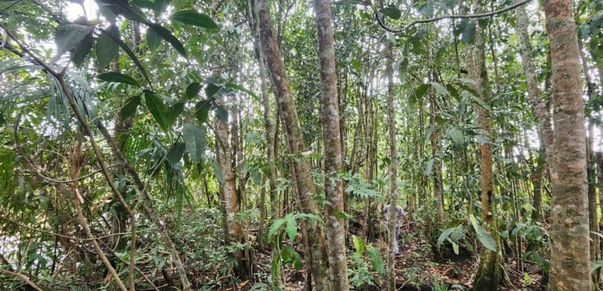 Chácara 6,3 ha – Rio – Piscina para Banho – Vale Verde – Alto Paraíso de Goiás