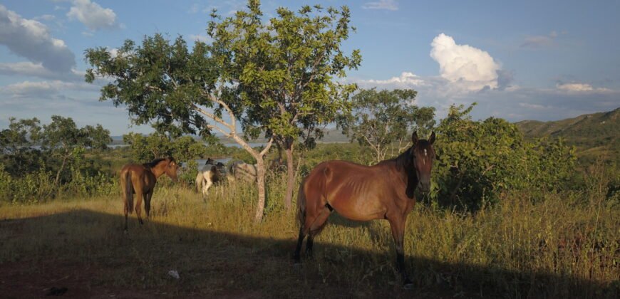 Linda Chácara 4,82ha – Lago Serra da Mesa – Niquelândia – Alto Paraíso de Goiás