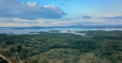 Linda Chácara 4,82ha – Lago Serra da Mesa – Niquelândia – Alto Paraíso de Goiás