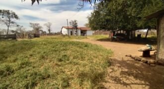 Fazenda 51ha – Beira Rio – Sertão – Alto Paraíso de Goiás