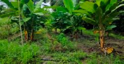 Fazenda 76 ha – Cachoeira – 12km Teresina de Goiás – Chapada dos Veadeiros