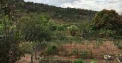 Fazenda  20 alqueires –  Cachoeira – Próximo a Cachoeira Poço Encantado – Casa Sede – Nascente – Piscina aquecida – Alto Paraíso de Goiás