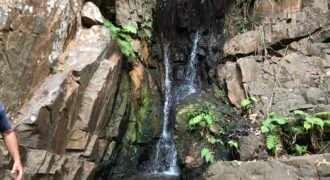 Fazenda  20 alqueires –  Cachoeira – Próximo a Cachoeira Poço Encantado – Casa Sede – Nascente – Piscina aquecida – Alto Paraíso de Goiás