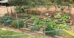 Fazenda  20 alqueires –  Cachoeira – Próximo a Cachoeira Poço Encantado – Casa Sede – Nascente – Piscina aquecida – Alto Paraíso de Goiás