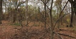 Fazenda Plana as Margens da GO 118 – Rio Paraná – 90 Alqueires – Município de Teresina de Goiás