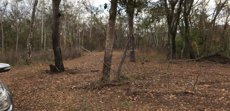 Fazenda Plana as Margens da GO 118 – Rio Paraná – 90 Alqueires – Município de Teresina de Goiás