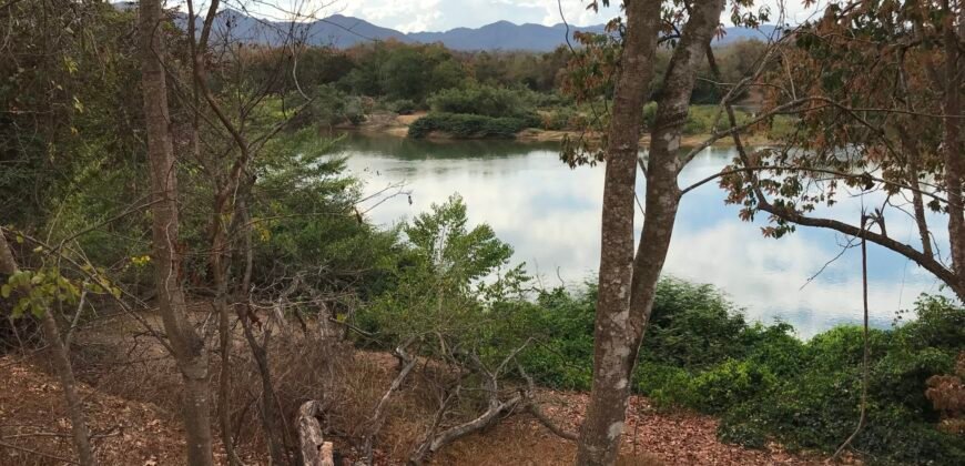 Fazenda Plana as Margens da GO 118 – Rio Paraná – 90 Alqueires – Município de Teresina de Goiás