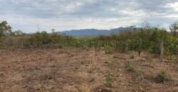 Fazenda Plana as Margens da GO 118 – Rio Paraná – 90 Alqueires – Município de Teresina de Goiás