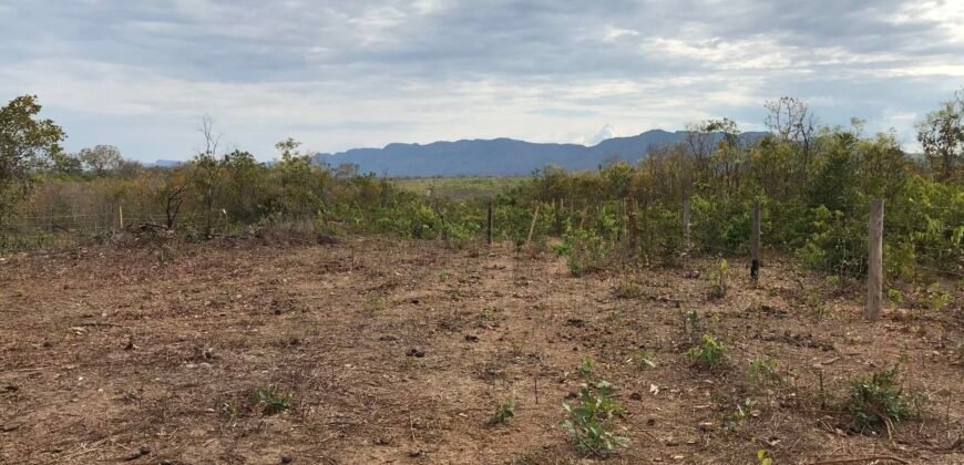 Fazenda Plana as Margens da GO 118 – Rio Paraná – 90 Alqueires – Município de Teresina de Goiás