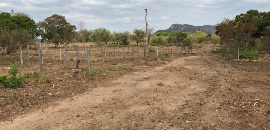 Fazenda Plana as Margens da GO 118 – Rio Paraná – 90 Alqueires – Município de Teresina de Goiás