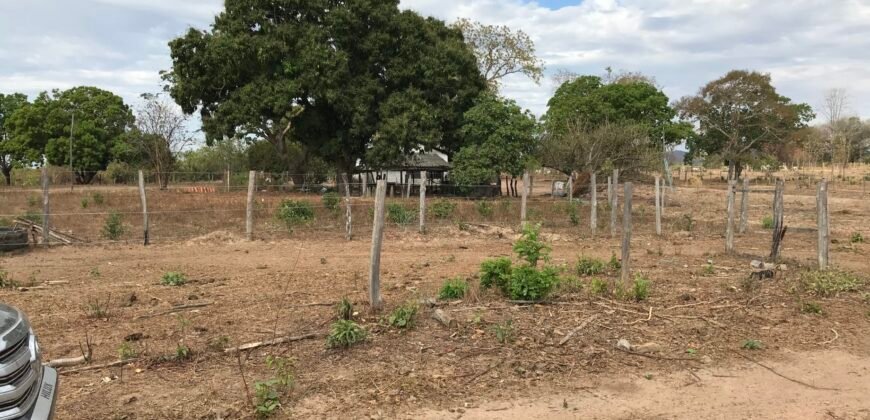 Fazenda Plana as Margens da GO 118 – Rio Paraná – 90 Alqueires – Município de Teresina de Goiás