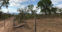 Fazenda Plana as Margens da GO 118 – Rio Paraná – 90 Alqueires – Município de Teresina de Goiás