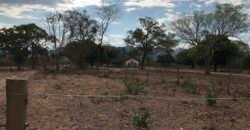 Fazenda Plana as Margens da GO 118 – Rio Paraná – 90 Alqueires – Município de Teresina de Goiás