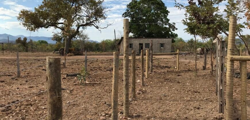 Fazenda Plana as Margens da GO 118 – Rio Paraná – 90 Alqueires – Município de Teresina de Goiás
