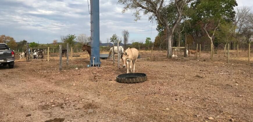 Fazenda Plana as Margens da GO 118 – Rio Paraná – 90 Alqueires – Município de Teresina de Goiás