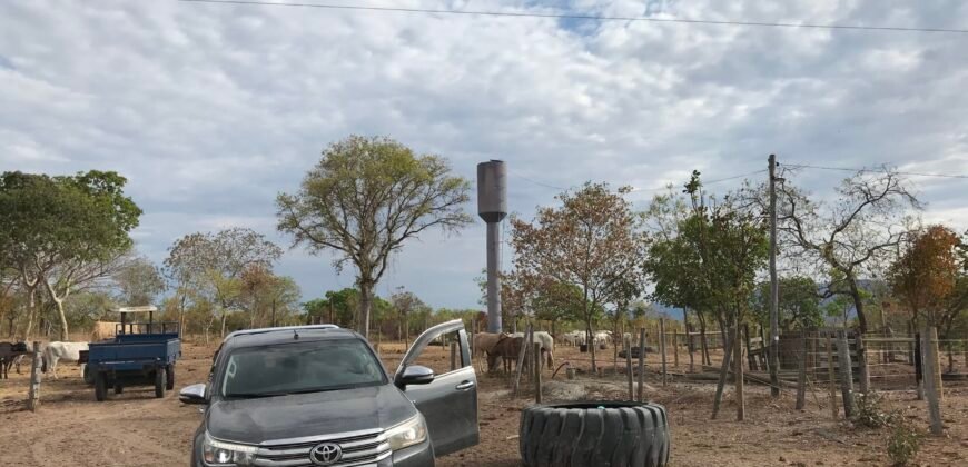 Fazenda Plana as Margens da GO 118 – Rio Paraná – 90 Alqueires – Município de Teresina de Goiás