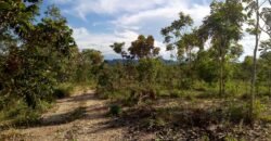 Fazenda 76 ha – Cachoeira – 12km Teresina de Goiás – Chapada dos Veadeiros