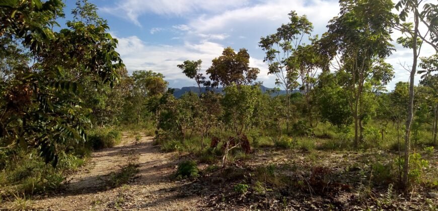 Fazenda 76 ha – Cachoeira – 12km Teresina de Goiás – Chapada dos Veadeiros