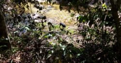 Casa nova em Adobe na Reserva Bacupari – Rio – Cavalcante/GO – Chapada dos Veadeiros