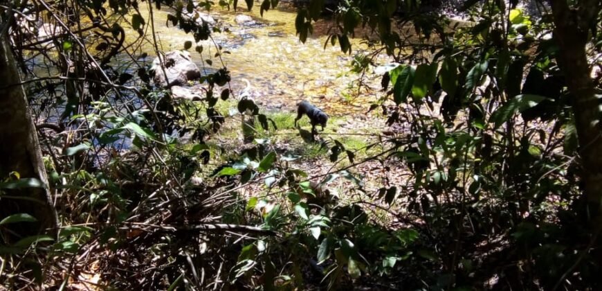 Casa nova em Adobe na Reserva Bacupari – Rio – Cavalcante/GO – Chapada dos Veadeiros