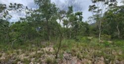 Fazenda 76 ha – Cachoeira – 12km Teresina de Goiás – Chapada dos Veadeiros
