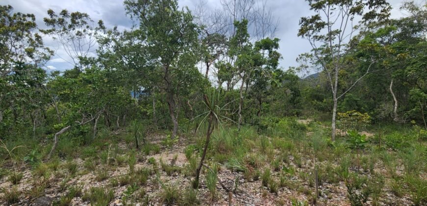 Fazenda 76 ha – Cachoeira – 12km Teresina de Goiás – Chapada dos Veadeiros