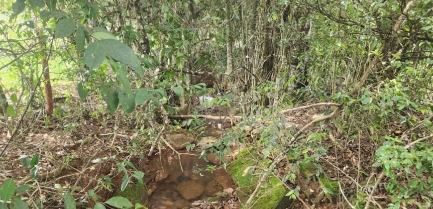 Casa – Rio – área 3,5ha – 9 km da Cachoeira Macaquinhos – Povoado Vereda – Alto Paraíso de Goiás