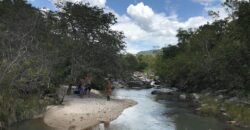 Chácara 4ha – acesso rio – 5 km de Teresinha – 15 km de Cavalcante – Chapada dos Veadeiros