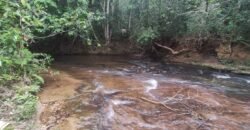 Maravilhosa Chácara 20ha – Recifra – Alto Paraíso de Goiás