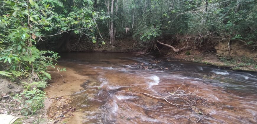 Maravilhosa Chácara 20ha – Recifra – Alto Paraíso de Goiás