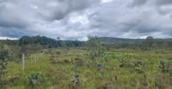 Chácara 6,3 ha – Rio – Piscina para Banho – Vale Verde – Alto Paraíso de Goiás