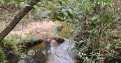 Chácara 5,30ha – Rio – Morro da Baleia – 13 km de Alto Paraíso de Goiás sentido São Jorge