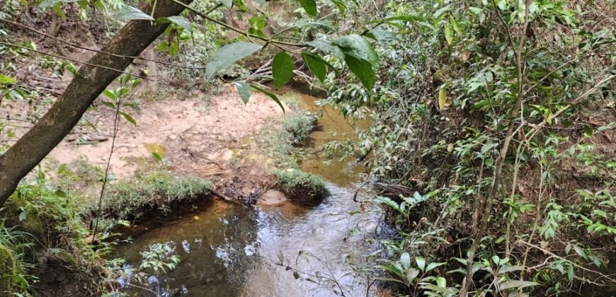 Chácara 5,30ha – Rio – Morro da Baleia – 13 km de Alto Paraíso de Goiás sentido São Jorge