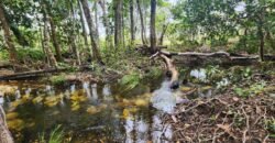 Chácara – Porteira Fechada – Rio – 5.7ha -Vale Verde – Alto Paraíso de Goiás