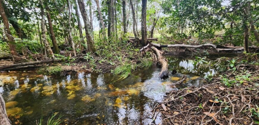 Chácara – Porteira Fechada – Rio – 5.7ha -Vale Verde – Alto Paraíso de Goiás