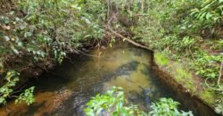 Chácara 5,30ha – Rio – Morro da Baleia – 13 km de Alto Paraíso de Goiás sentido São Jorge