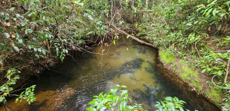 Chácara 5,30ha – Rio – Morro da Baleia – 13 km de Alto Paraíso de Goiás sentido São Jorge