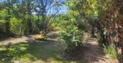Oportunidade Exclusiva! Pousada à Venda em Cavalcante – Lote 2.000 m2 – Chapada dos Veadeiros