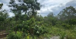 Fazenda 76 ha – Cachoeira – 12km Teresina de Goiás – Chapada dos Veadeiros