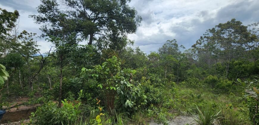 Fazenda 76 ha – Cachoeira – 12km Teresina de Goiás – Chapada dos Veadeiros