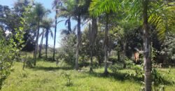 Chácara 2.7 Alq. – Povoado Bandeira – Rio – Nascente – 24km de Alto Paraíso de Goiás