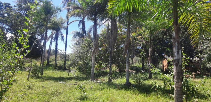 Chácara 2.7 Alq. – Povoado Bandeira – Rio – Nascente – 24km de Alto Paraíso de Goiás