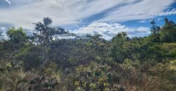 Chácara 5,30ha – Rio – Morro da Baleia – 13 km de Alto Paraíso de Goiás sentido São Jorge