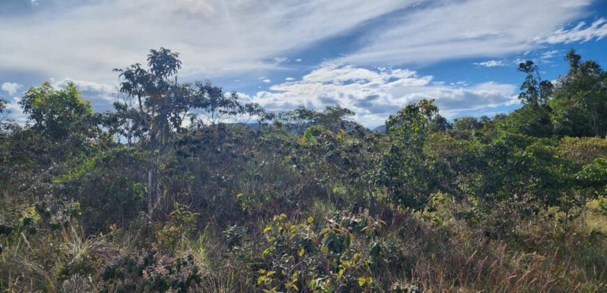 Chácara 5,30ha – Rio – Morro da Baleia – 13 km de Alto Paraíso de Goiás sentido São Jorge