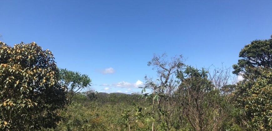 Chácara 4ha – 4km de Alto Paraíso Sentido Cachoeira dos Cristais
